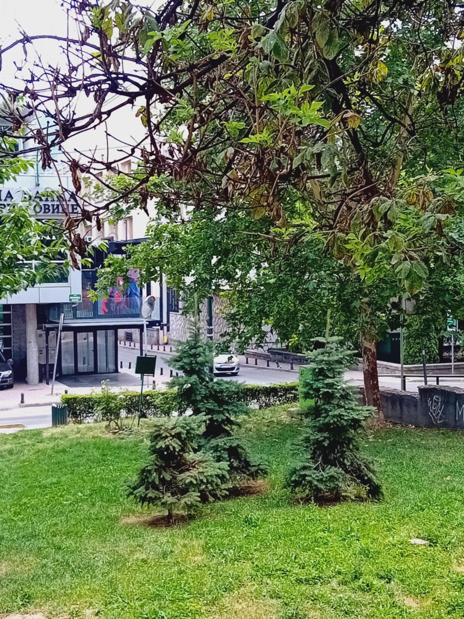 סראייבו Floki Studio In The Center מראה חיצוני תמונה